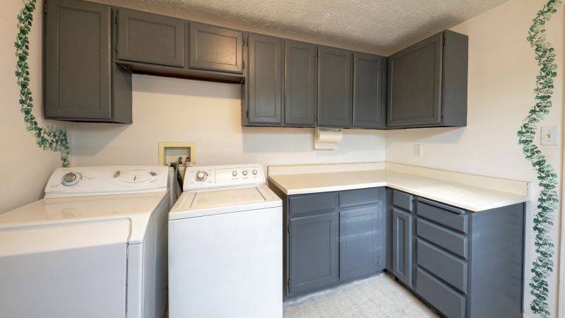 Cupboard Painting detail