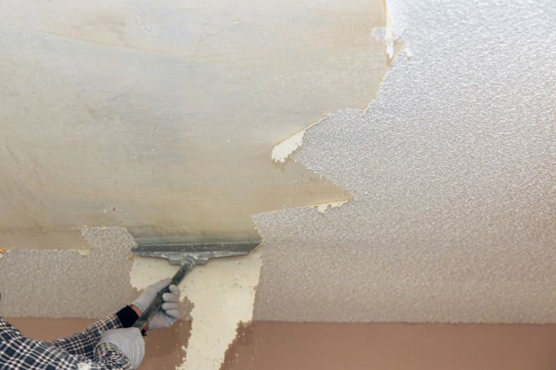 Popcorn Ceiling Renovation